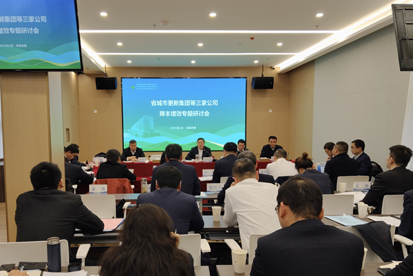 聚力攻坚降成本 深化改革增效益——彩神v集团等三家公司召开降本增效专题研讨会