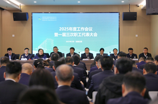 彩神v集团等三家公司召开2025年度工作会议暨一届三次职工代表大会